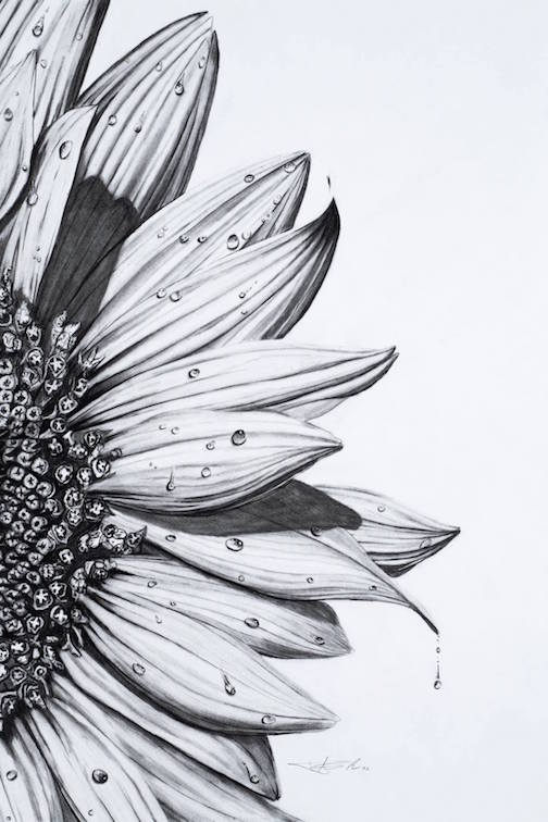 View more about Drawn 2 Draw