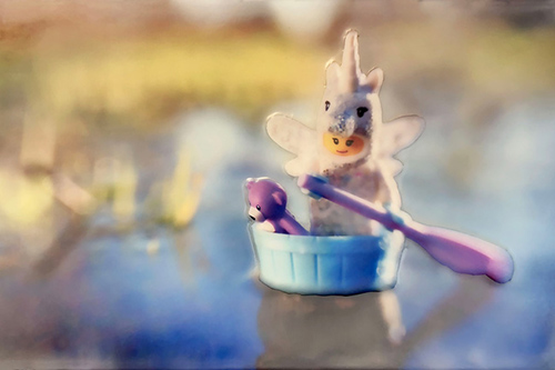 View more about Shelly Corbett Photography