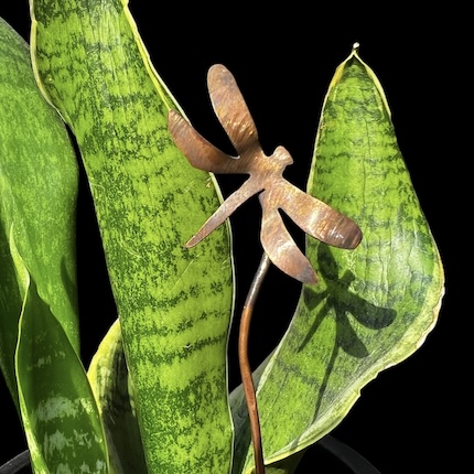 View more about Amanda Metals