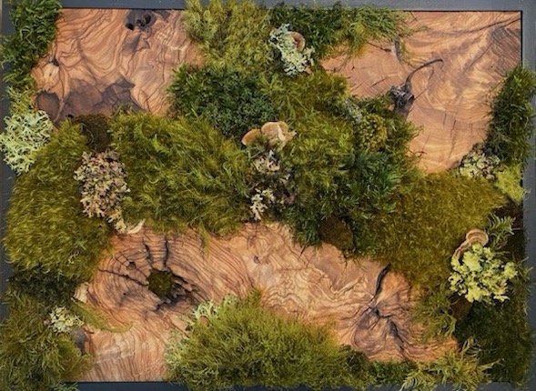 View more about Moss Mama