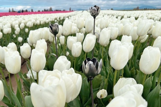 View more about KB Studios LLC