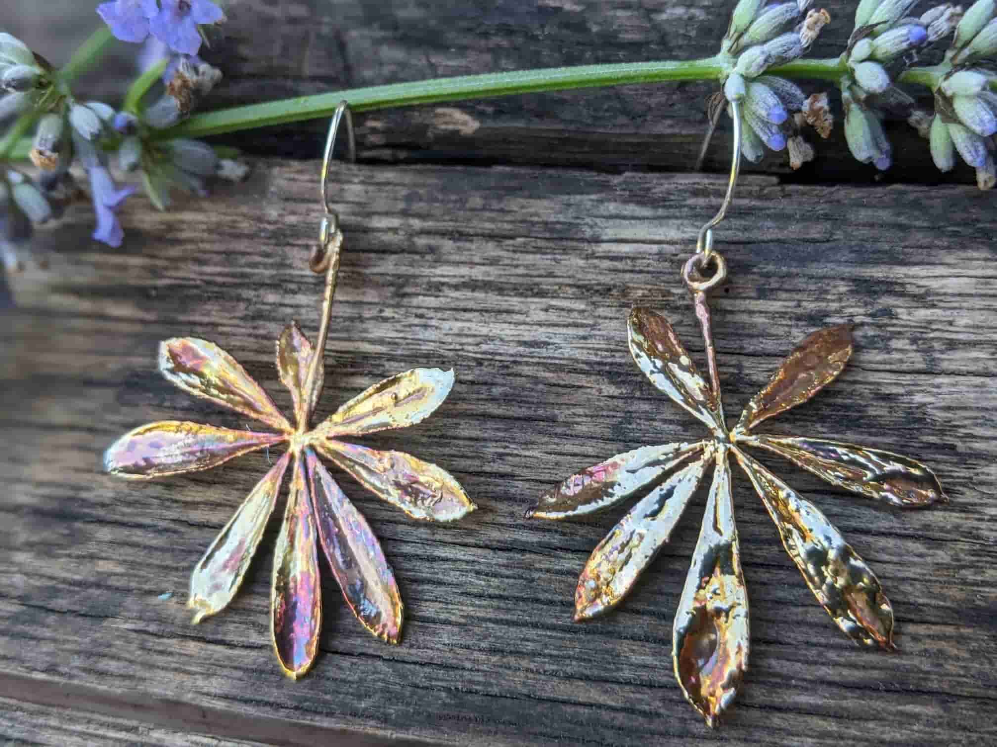 View more about House of Linnaea